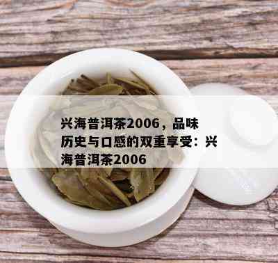 兴海普洱茶2006，品味历史与口感的双重享受：兴海普洱茶2006