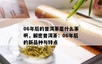 06年后的普洱茶是什么茶啊，解密普洱茶：06年后的新品种与特点