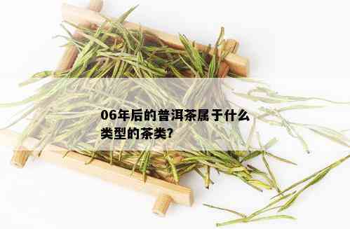 06年后的普洱茶属于什么类型的茶类？