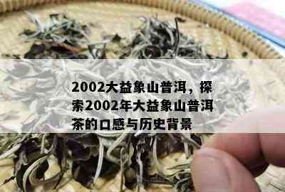 2002大益象山普洱，探索2002年大益象山普洱茶的口感与历史背景