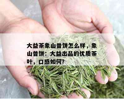 大益茶象山普饼怎么样，象山普饼：大益出品的优质茶叶，口感如何？