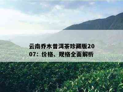 云南乔木普洱茶珍藏版2007：价格、规格全面解析