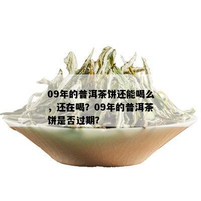 09年的普洱茶饼还能喝么，还在喝？09年的普洱茶饼是否过期？