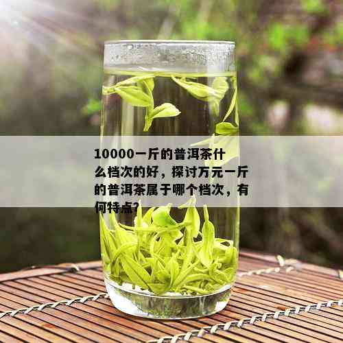 10000一斤的普洱茶什么档次的好，探讨万元一斤的普洱茶属于哪个档次，有何特点？