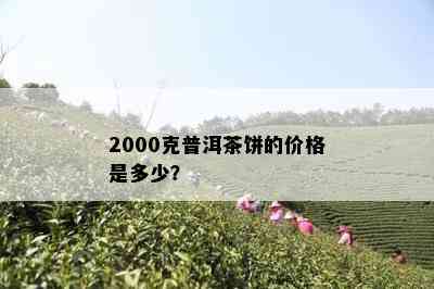 2000克普洱茶饼的价格是多少？