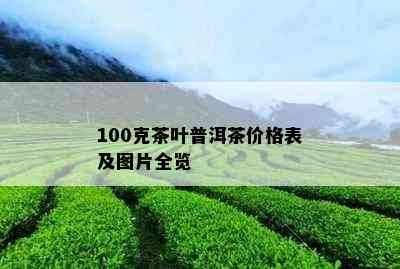 100克茶叶普洱茶价格表及图片全览