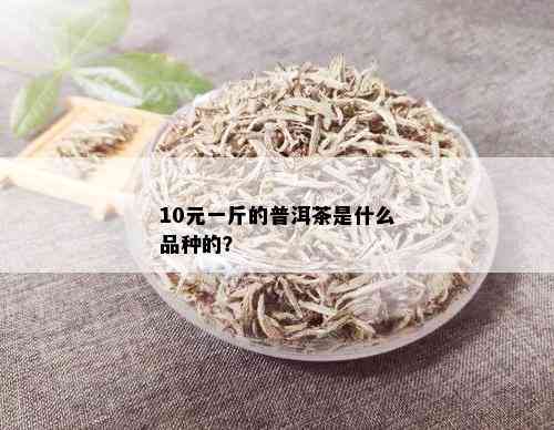 10元一斤的普洱茶是什么品种的？