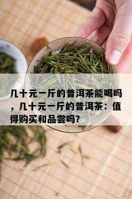 几十元一斤的普洱茶能喝吗，几十元一斤的普洱茶：值得购买和品尝吗？