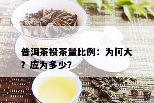 普洱茶投茶量比例：为何大？应为多少？