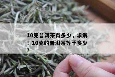 10克普洱茶有多少，求解！10克的普洱茶等于多少？