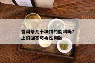 普洱茶几十块钱的能喝吗？上的回答与性问题