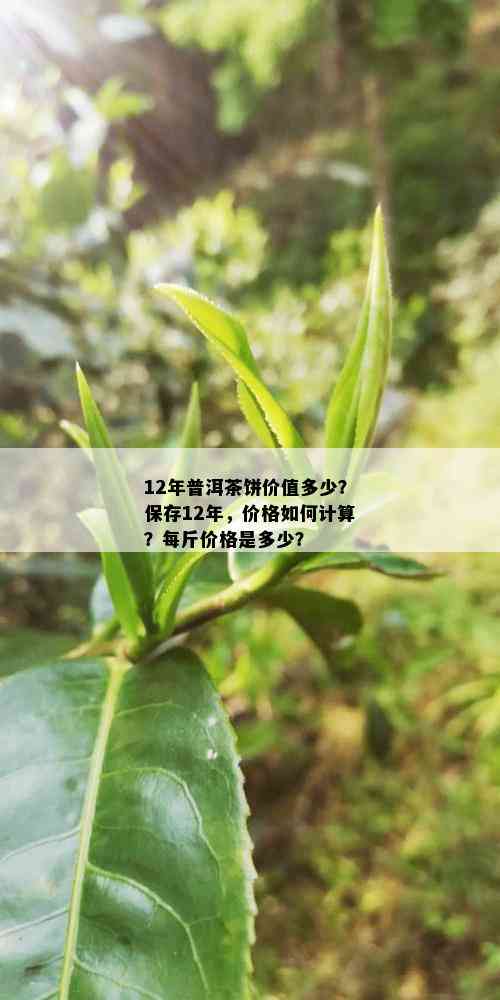 12年普洱茶饼价值多少？保存12年，价格如何计算？每斤价格是多少？