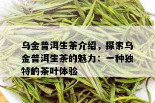 乌金普洱生茶介绍，探索乌金普洱生茶的魅力：一种独特的茶叶体验