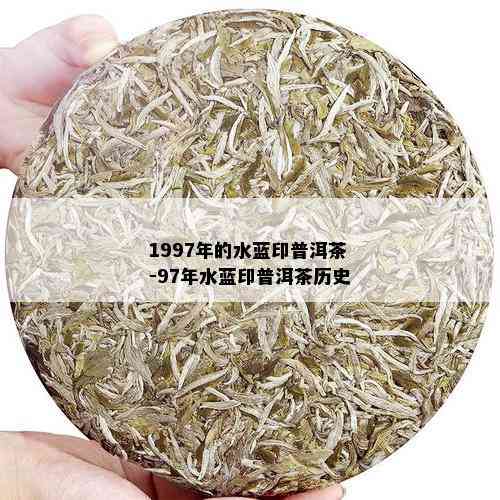 1997年的水蓝印普洱茶-97年水蓝印普洱茶历史