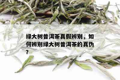 绿大树普洱茶真假辨别，如何辨别绿大树普洱茶的真伪？