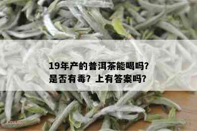 19年产的普洱茶能喝吗？是否有？上有答案吗？