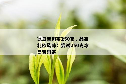 冰岛普洱茶250克，品尝北欧风味：尝试250克冰岛普洱茶