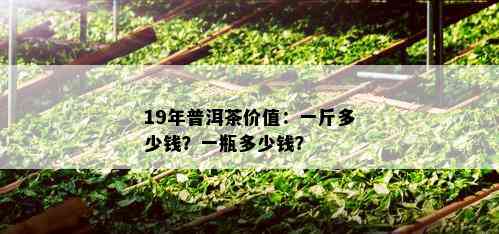 19年普洱茶价值：一斤多少钱？一瓶多少钱？