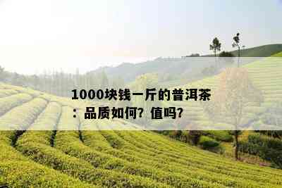 1000块钱一斤的普洱茶：品质如何？值吗？