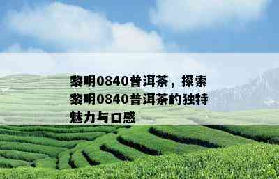 黎明0840普洱茶，探索黎明0840普洱茶的独特魅力与口感