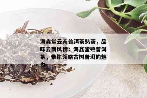 海鑫堂云南普洱茶熟茶，品味云南风情：海鑫堂熟普洱茶，带你领略古树普洱的魅力