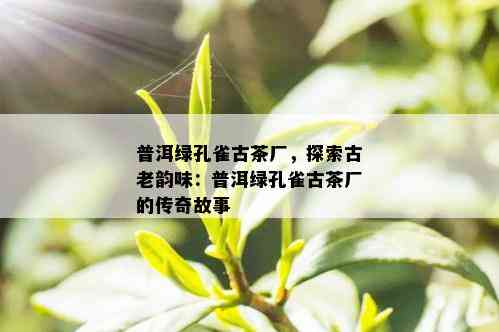 普洱绿孔雀古茶厂，探索古老韵味：普洱绿孔雀古茶厂的传奇故事