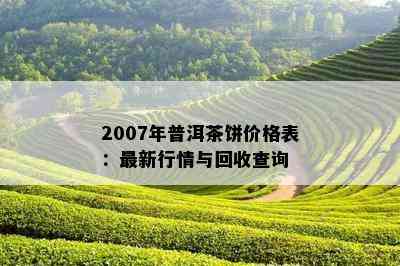 2007年普洱茶饼价格表：最新行情与回收查询