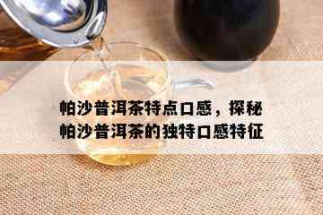 帕沙普洱茶特点口感，探秘帕沙普洱茶的独特口感特征