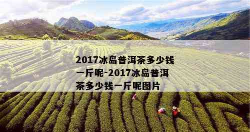 2017冰岛普洱茶多少钱一斤呢-2017冰岛普洱茶多少钱一斤呢图片