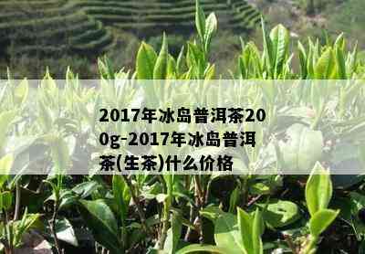 2017年冰岛普洱茶200g-2017年冰岛普洱茶(生茶)什么价格