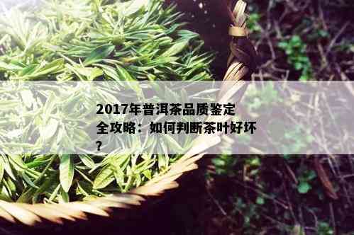 2017年普洱茶品质鉴定全攻略：如何判断茶叶好坏？