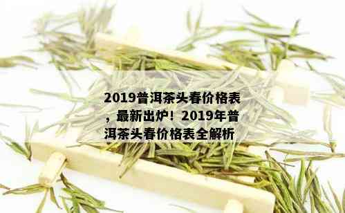 2019普洱茶头春价格表，最新出炉！2019年普洱茶头春价格表全解析