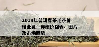 2019年普洱春茶毛茶价格全览：详细价格表、图片及市场趋势