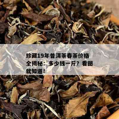 珍藏19年普洱茶春茶价格全揭秘：多少钱一斤？看图就知道！