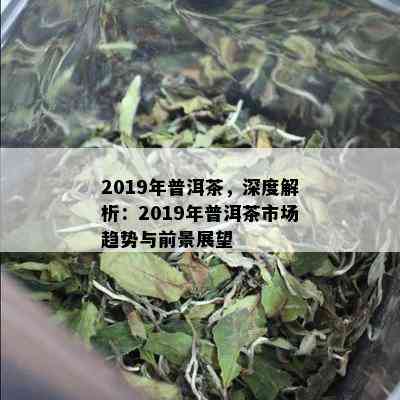 2019年普洱茶，深度解析：2019年普洱茶市场趋势与前景展望