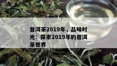 普洱茶2019年，品味时光：探索2019年的普洱茶世界