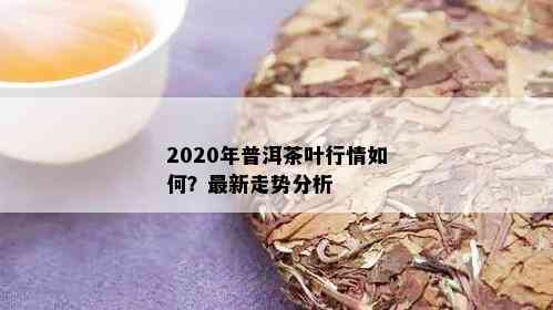 2020年普洱茶叶行情如何？最新走势分析