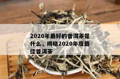 2020年更好的普洱茶是什么，揭晓2020年度更佳普洱茶