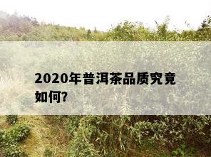 2020年普洱茶品质究竟如何？