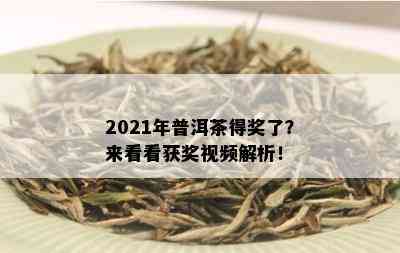 2021年普洱茶得奖了？来看看获奖视频解析！