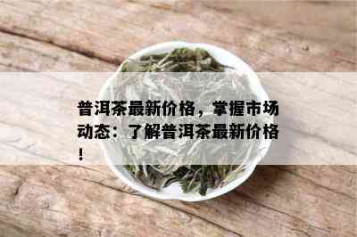 普洱茶最新价格，掌握市场动态：了解普洱茶最新价格！