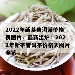 2022年新茶普洱茶价格表图片，最新出炉！2022年新茶普洱茶价格表图片全览