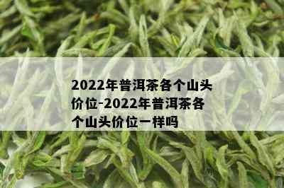 2022年普洱茶各个山头价位-2022年普洱茶各个山头价位一样吗