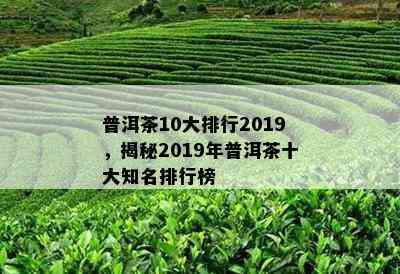 普洱茶10大排行2019，揭秘2019年普洱茶十大知名排行榜