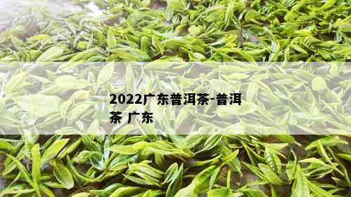 2022广东普洱茶-普洱茶 广东