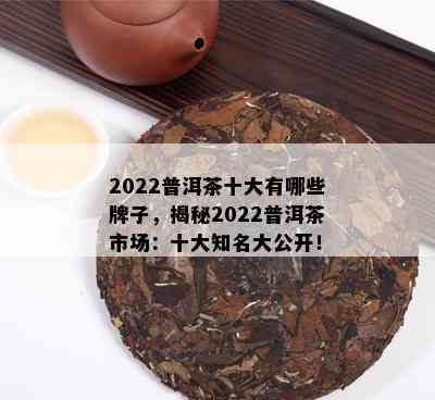 2022普洱茶十大有哪些牌子，揭秘2022普洱茶市场：十大知名大公开！