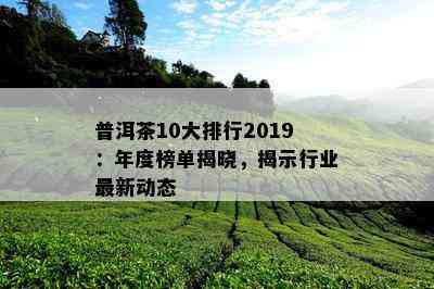 普洱茶10大排行2019：年度榜单揭晓，揭示行业最新动态