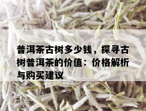 普洱茶古树多少钱，探寻古树普洱茶的价值：价格解析与购买建议