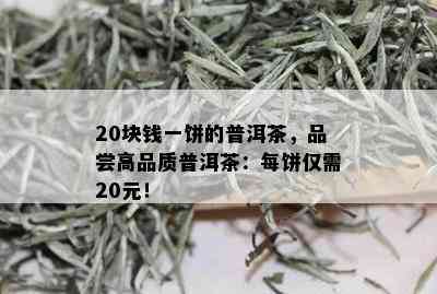 20块钱一饼的普洱茶，品尝高品质普洱茶：每饼仅需20元！