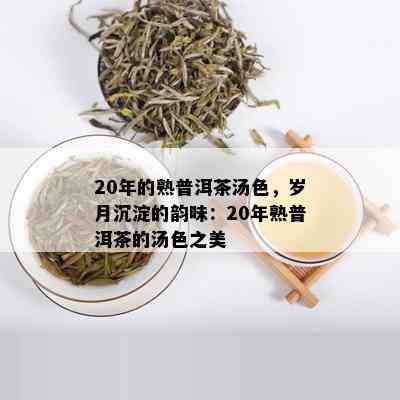 20年的熟普洱茶汤色，岁月沉淀的韵味：20年熟普洱茶的汤色之美